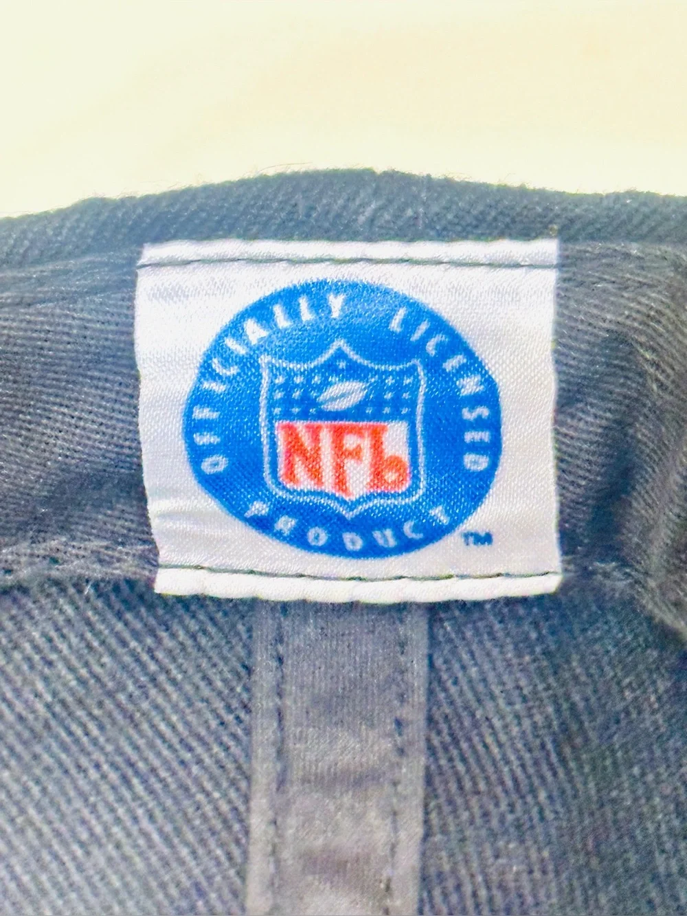 Vtg Y2k 90's NFL Philadelphia Eagles American Needle Strapback Cap Wool Blend